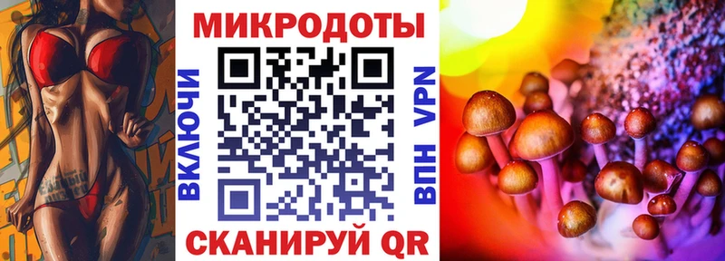 Галлюциногенные грибы Psilocybine cubensis Кола