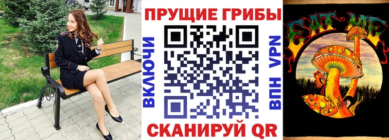 Псилоцибиновые грибы прущие грибы  Кола 